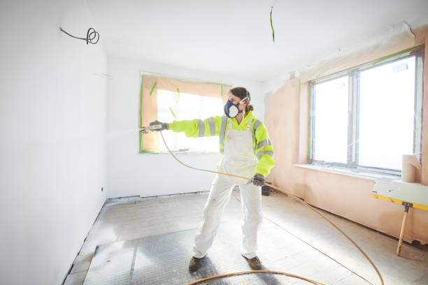 Best Attic Mold Removal  in Vauxhall, NJ