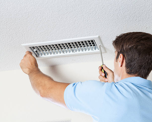 Environmental Consulting for Mold Prevention in Vauxhall, NJ