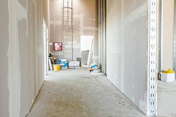 Best Mold Documentation for Insurance Claims  in Vauxhall, NJ